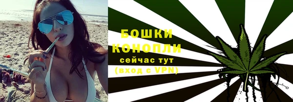стафф Кодинск