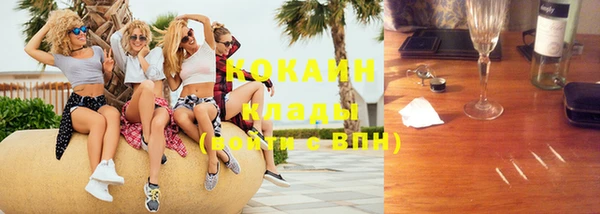стафф Кодинск