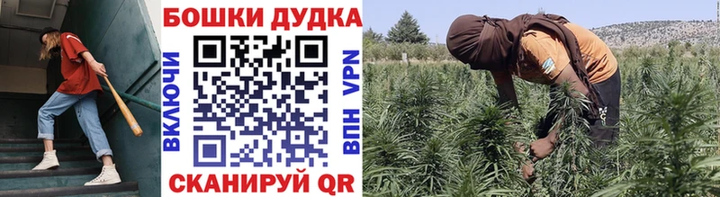 Купить закладки  Саров  Конопля Bruce Banner 